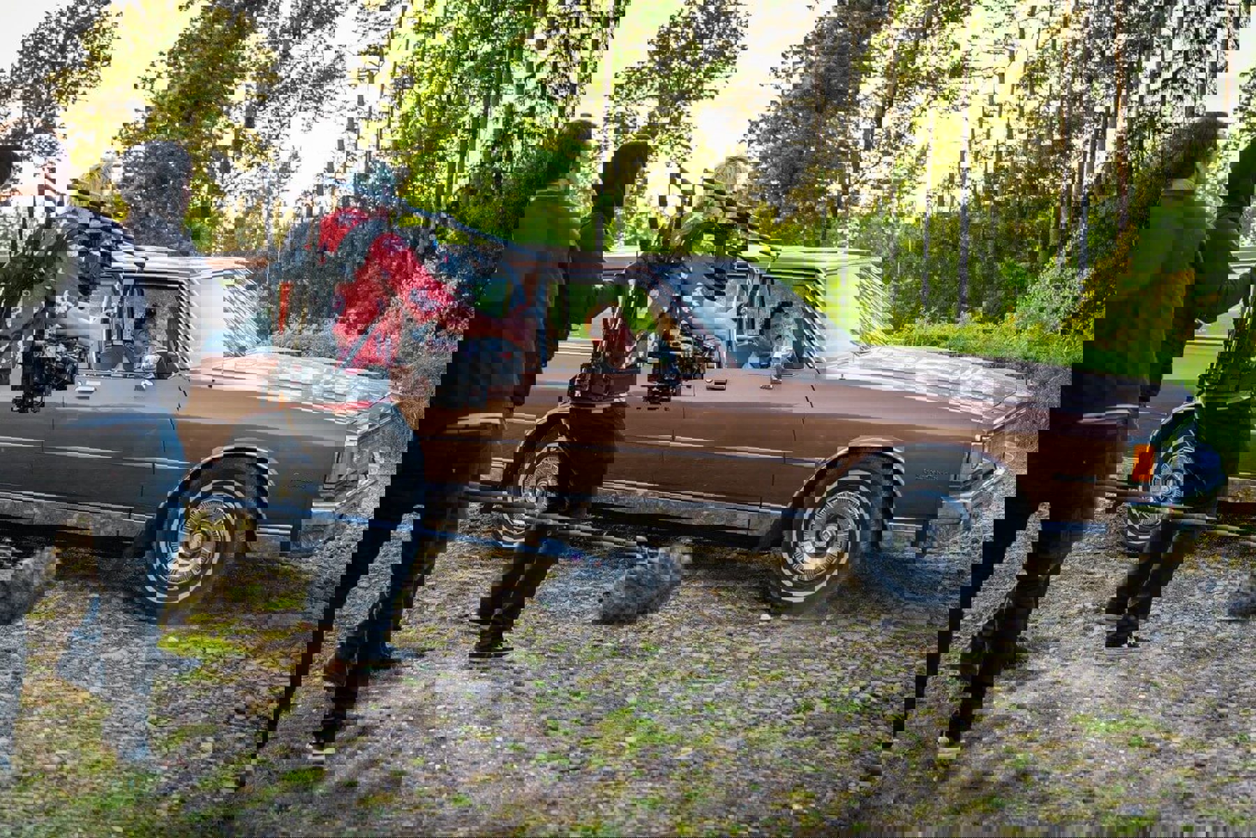 Image /media/mytdc0pe/7.jpg