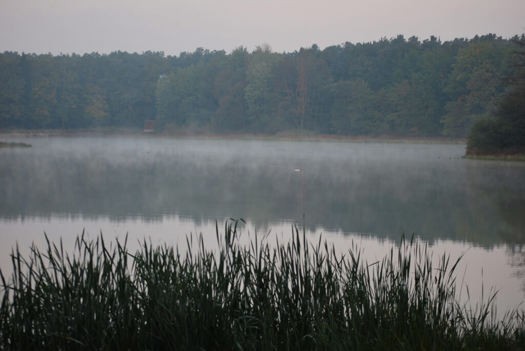 Obrázek /media/n01ejly1/5___toulovcovy_mastale.jpg