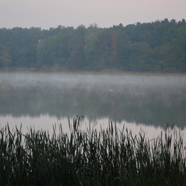 Obrázek /media/n01ejly1/5___toulovcovy_mastale.jpg