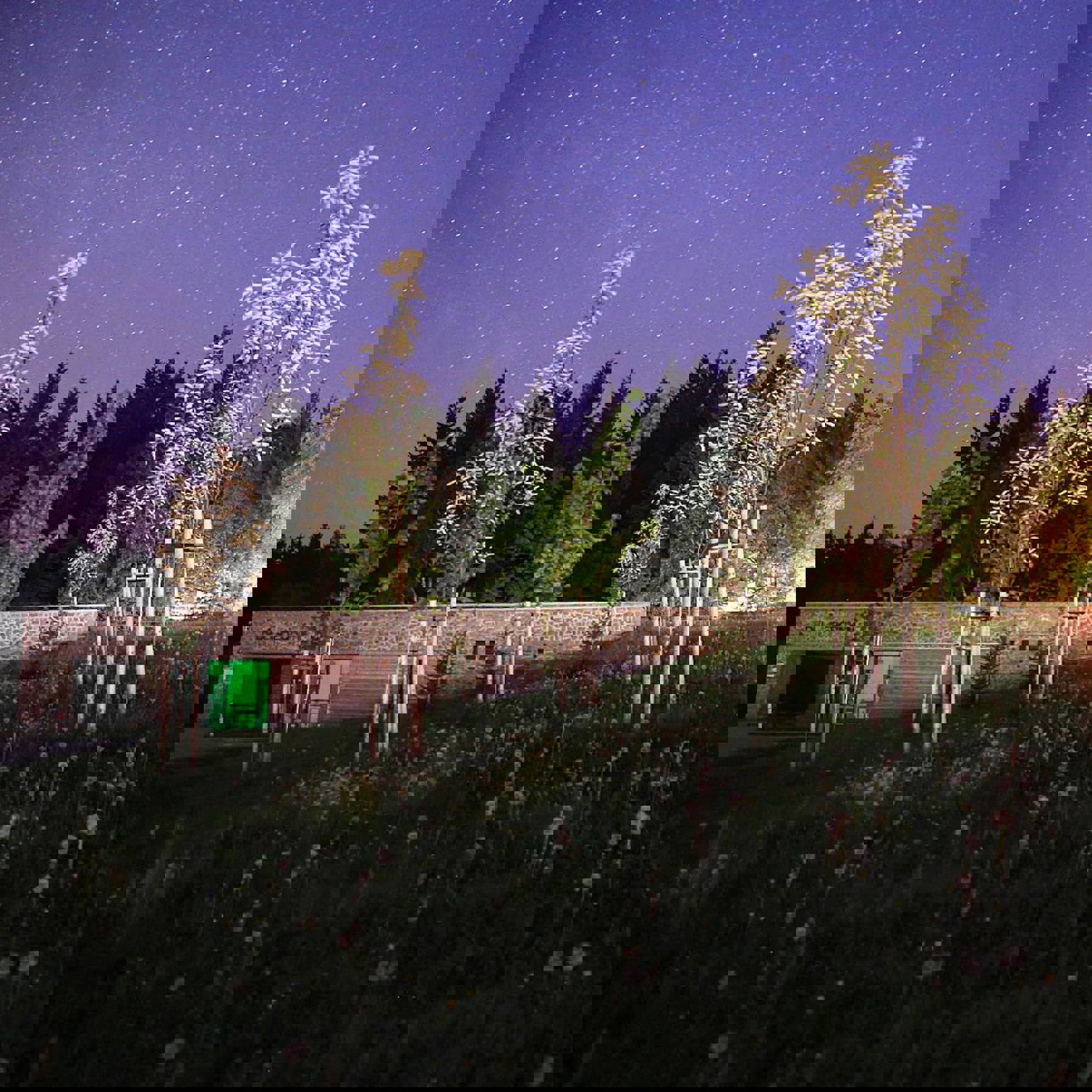 Obrázek /media/n1gfquvv/13301532_1051358991608638_7125286878594318440_o.jpg