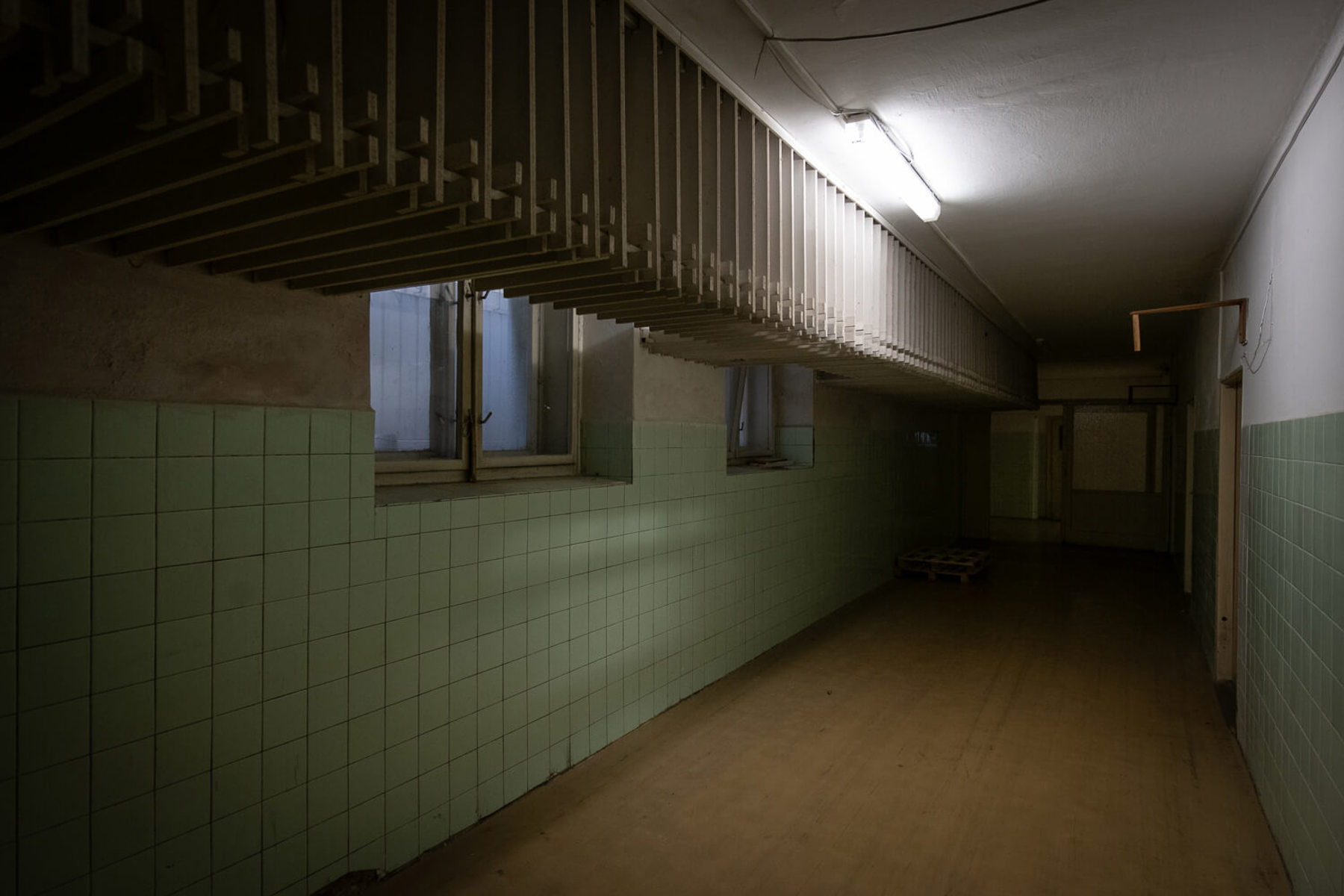 Obrázek /media/ncjlph55/_dsc9395.jpg