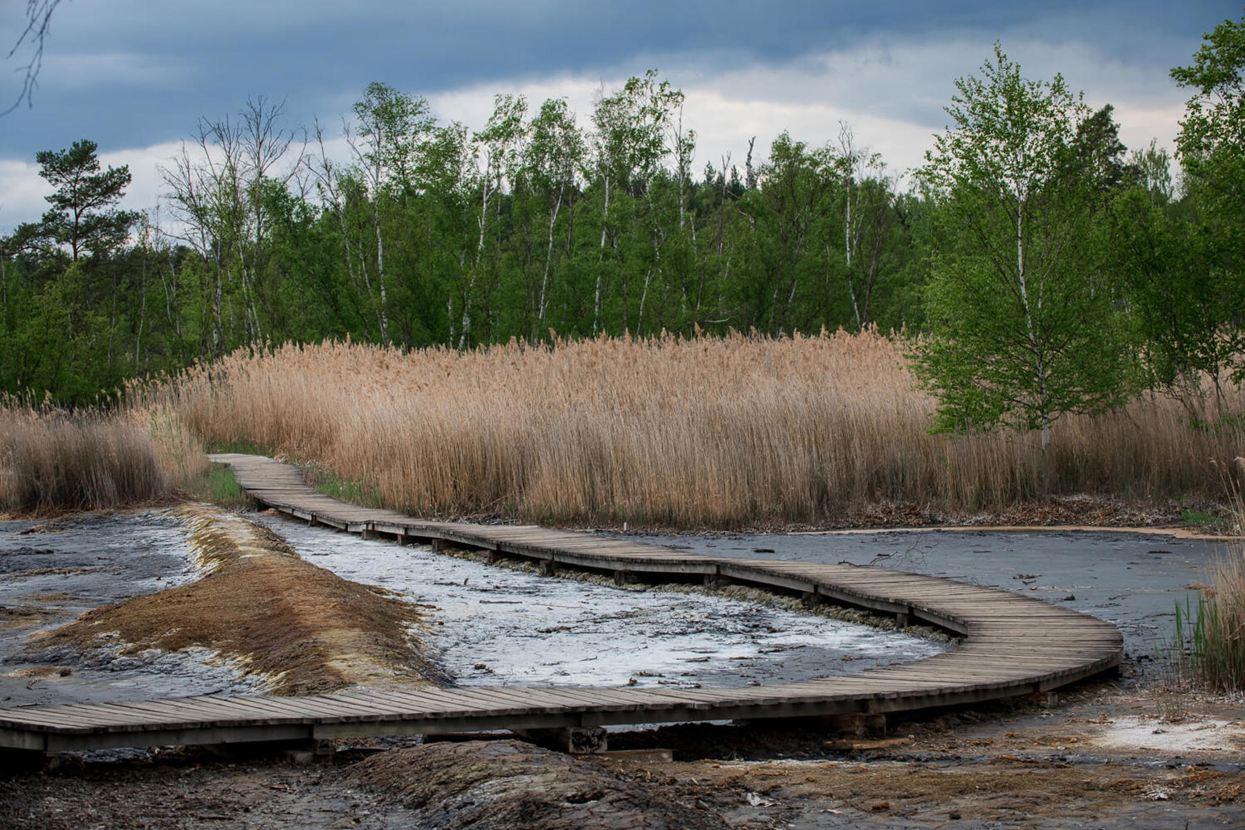 Image /media/nengix2o/_dsc5258.jpg