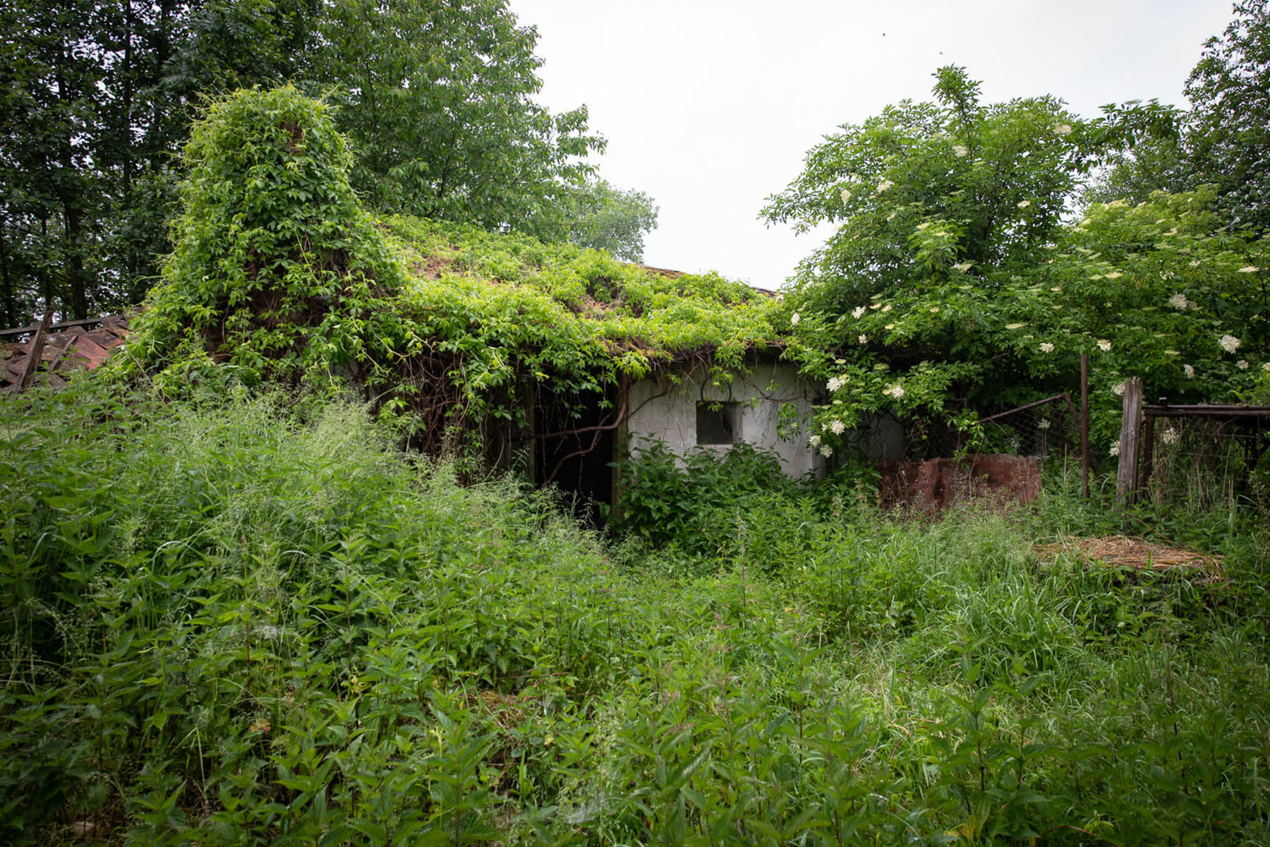 Image /media/nhhcmxbn/dsc0444.jpg