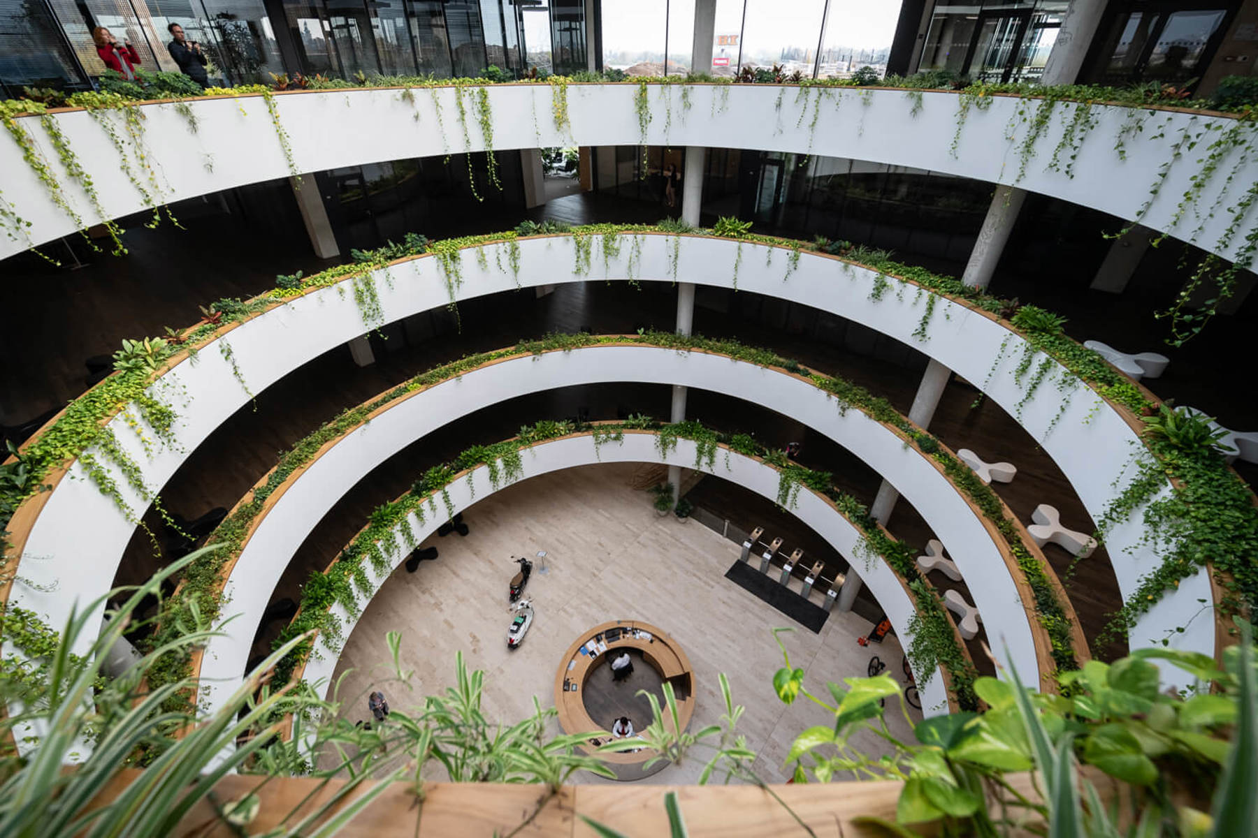 Obrázek /media/nkrglnsw/dsc2495.jpg