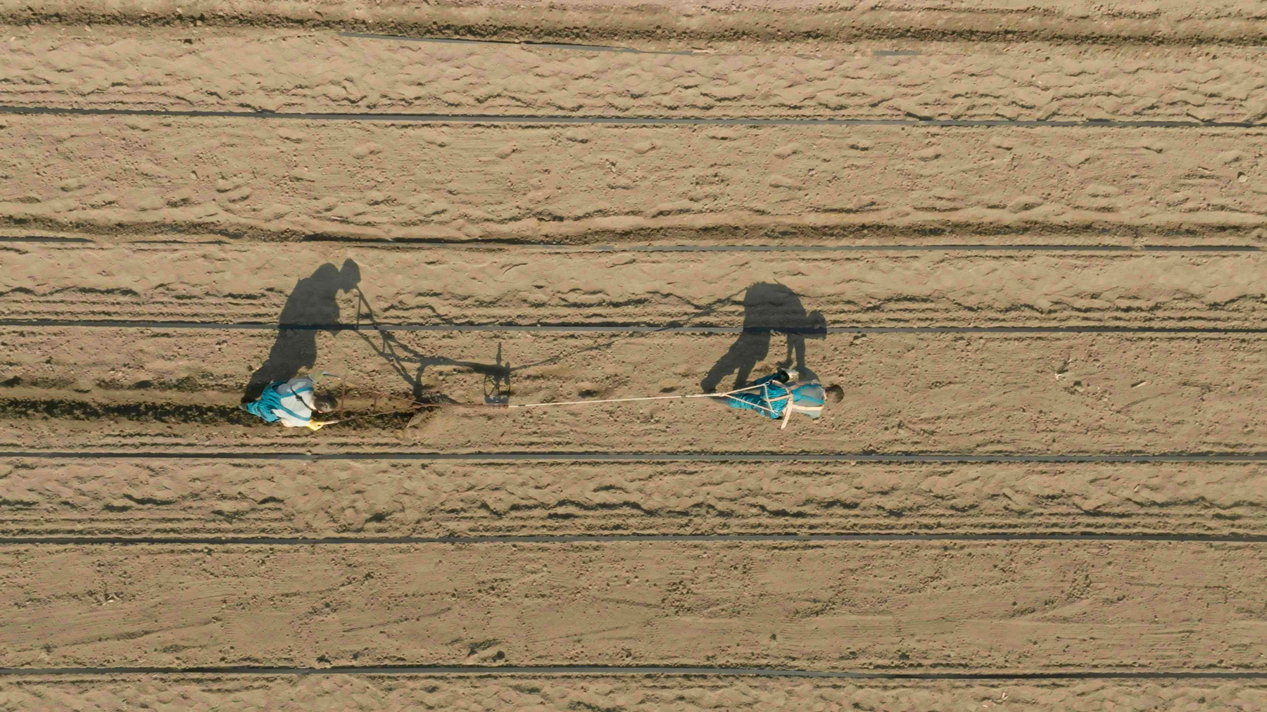 Image /media/nmxazuya/amazing-race-cesko-2025-imdb_2.jpg