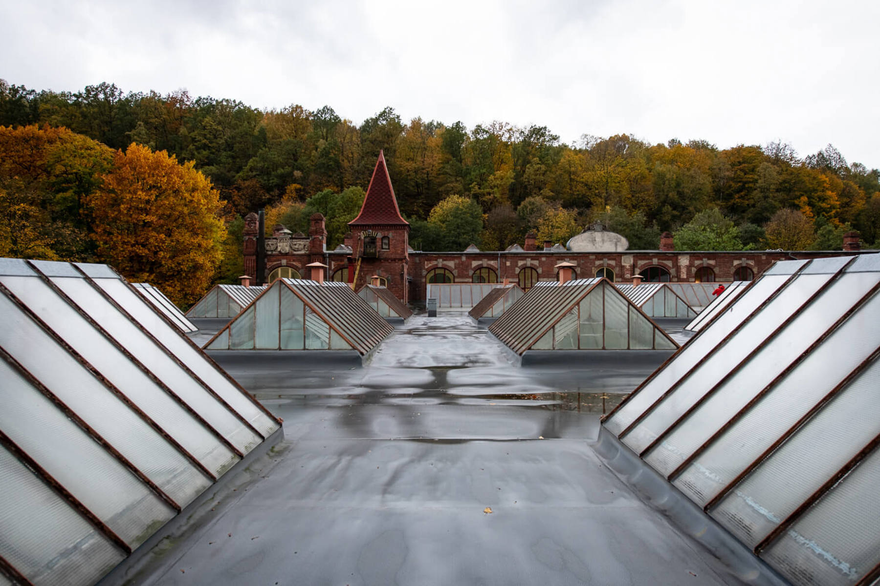 Image /media/nrkk1v3q/_dsc2077.jpg