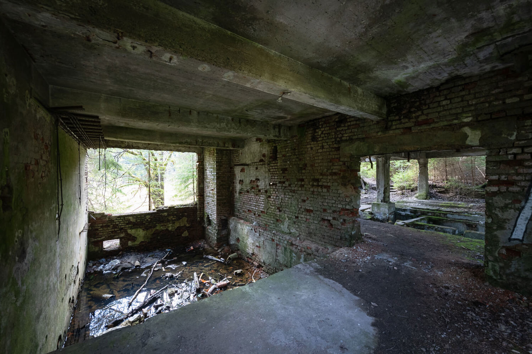 Image /media/nuiodter/dsc7852.jpg