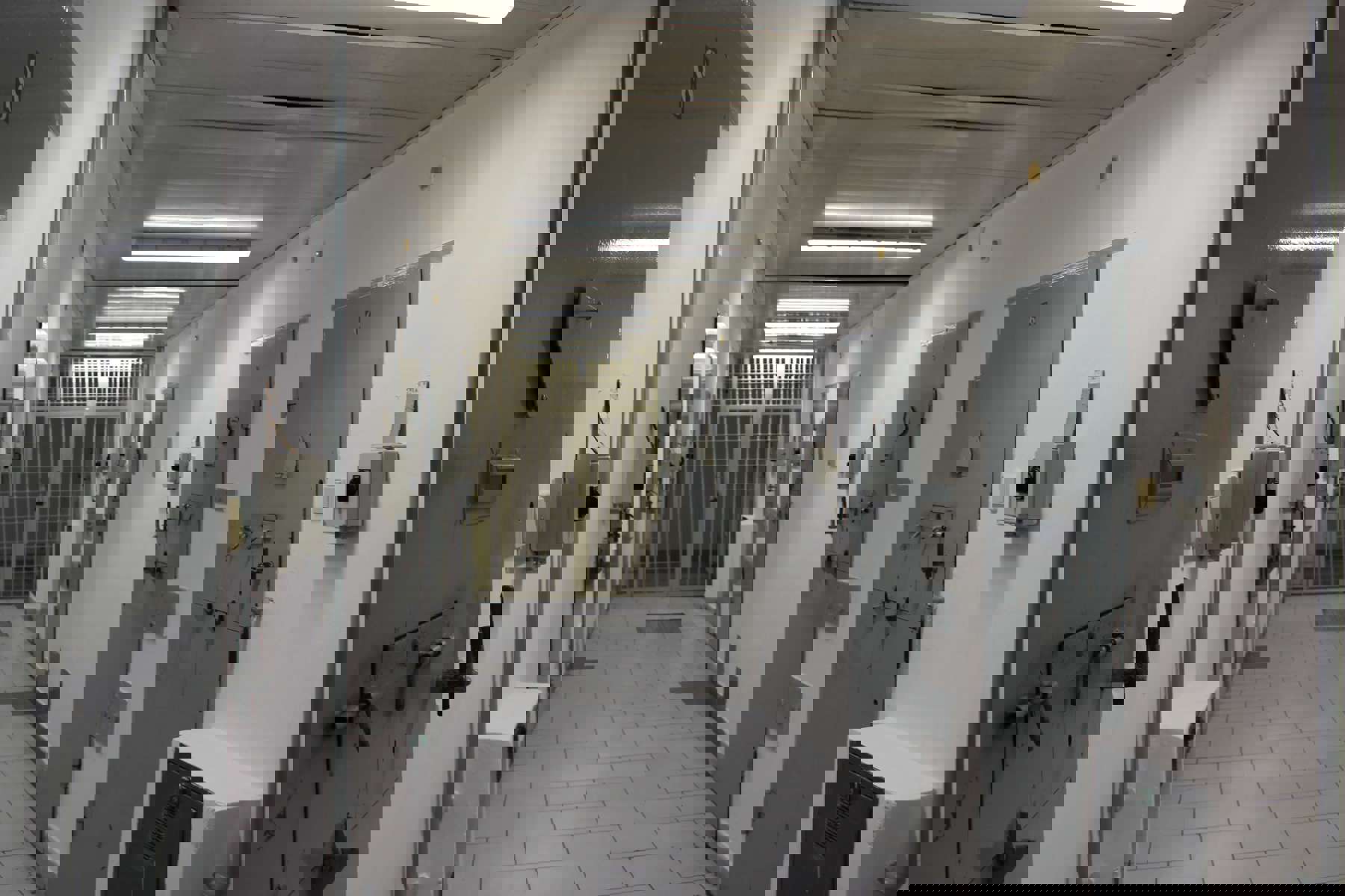 Image /media/nx0ithcz/img_3134.jpg