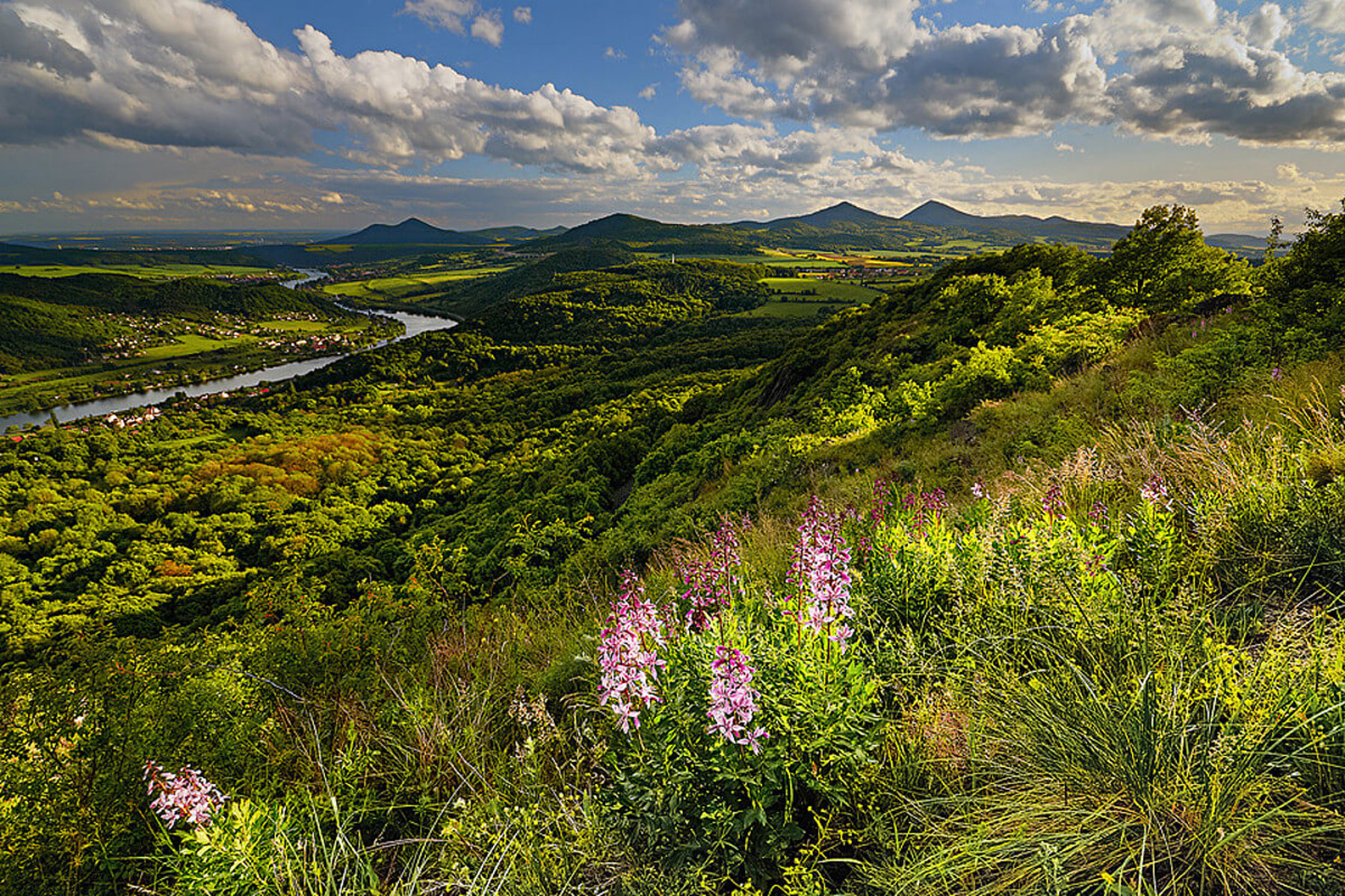 Obrázek /media/nygiu0da/skalky-jaro_-_form_web_-_berg.jpg