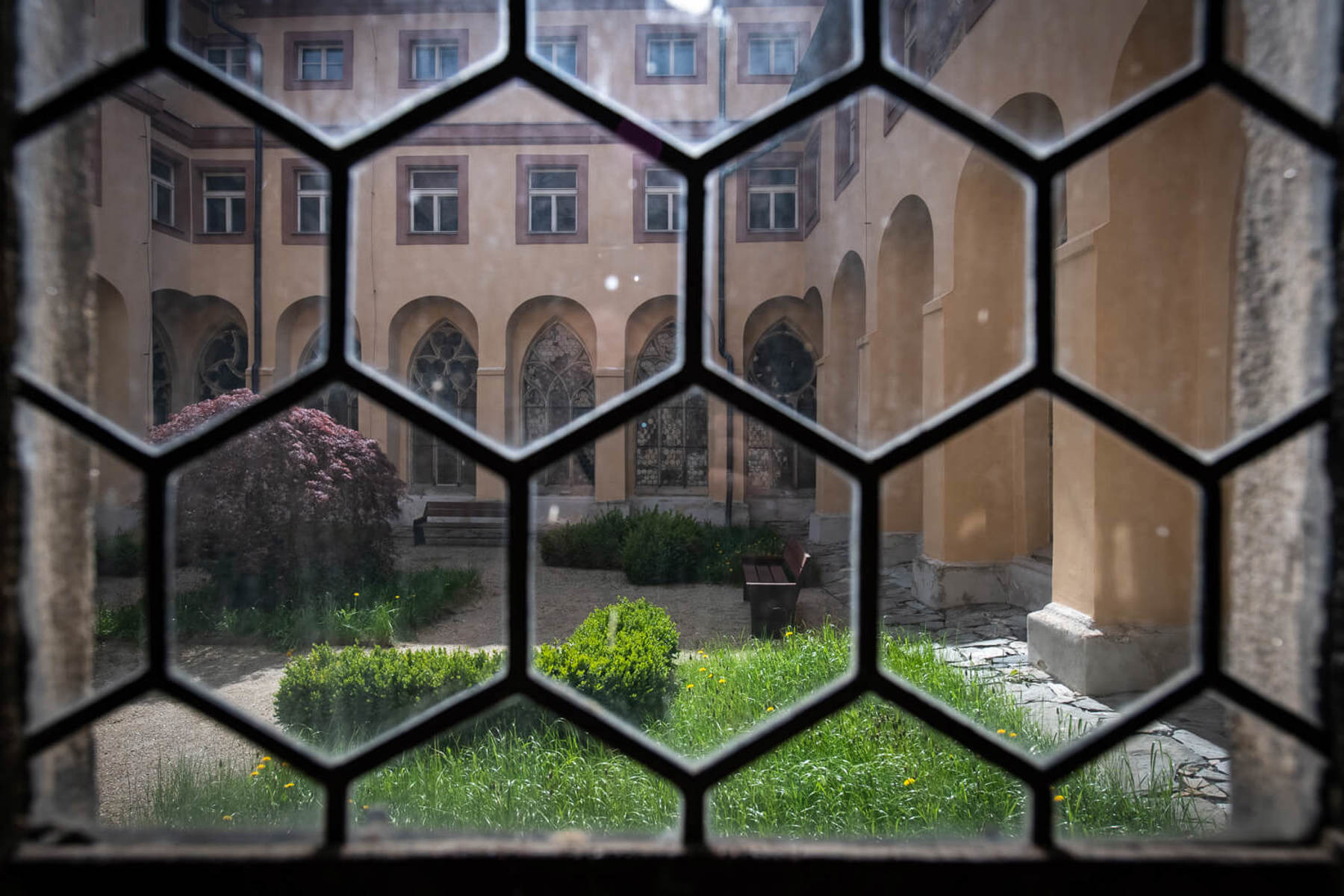 Image /media/nykpitvy/_dsc4731.jpg