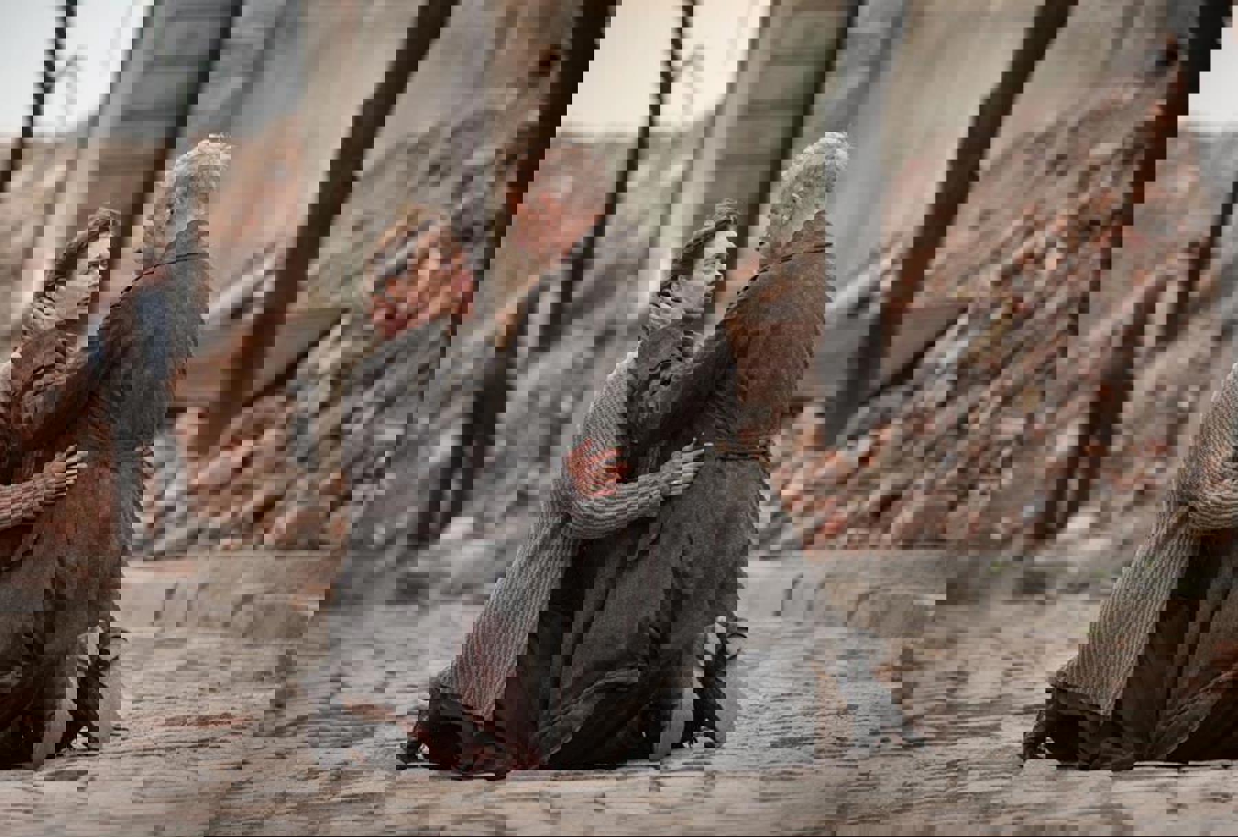 Obrázek /media/o5fjon2z/film-03-2014-03.jpg