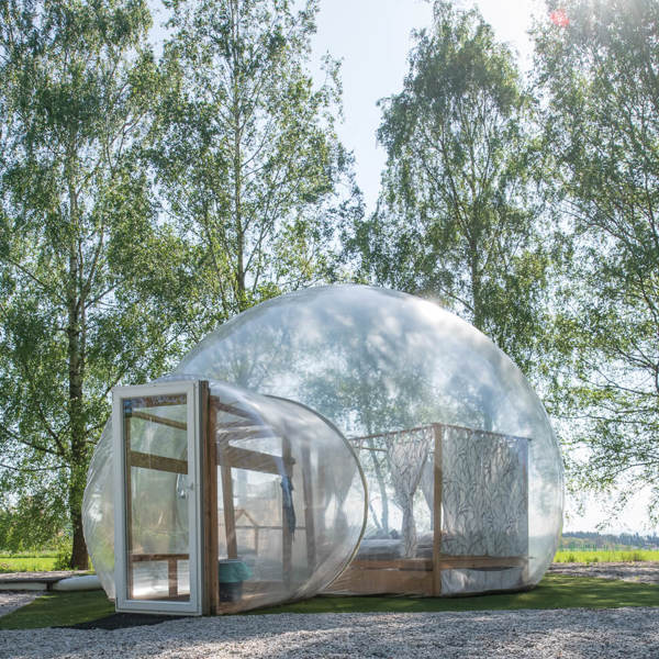 Image /media/obppkiyk/_dsc4946.jpg