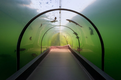 Image /media/odojftzi/dsc_3946.jpg