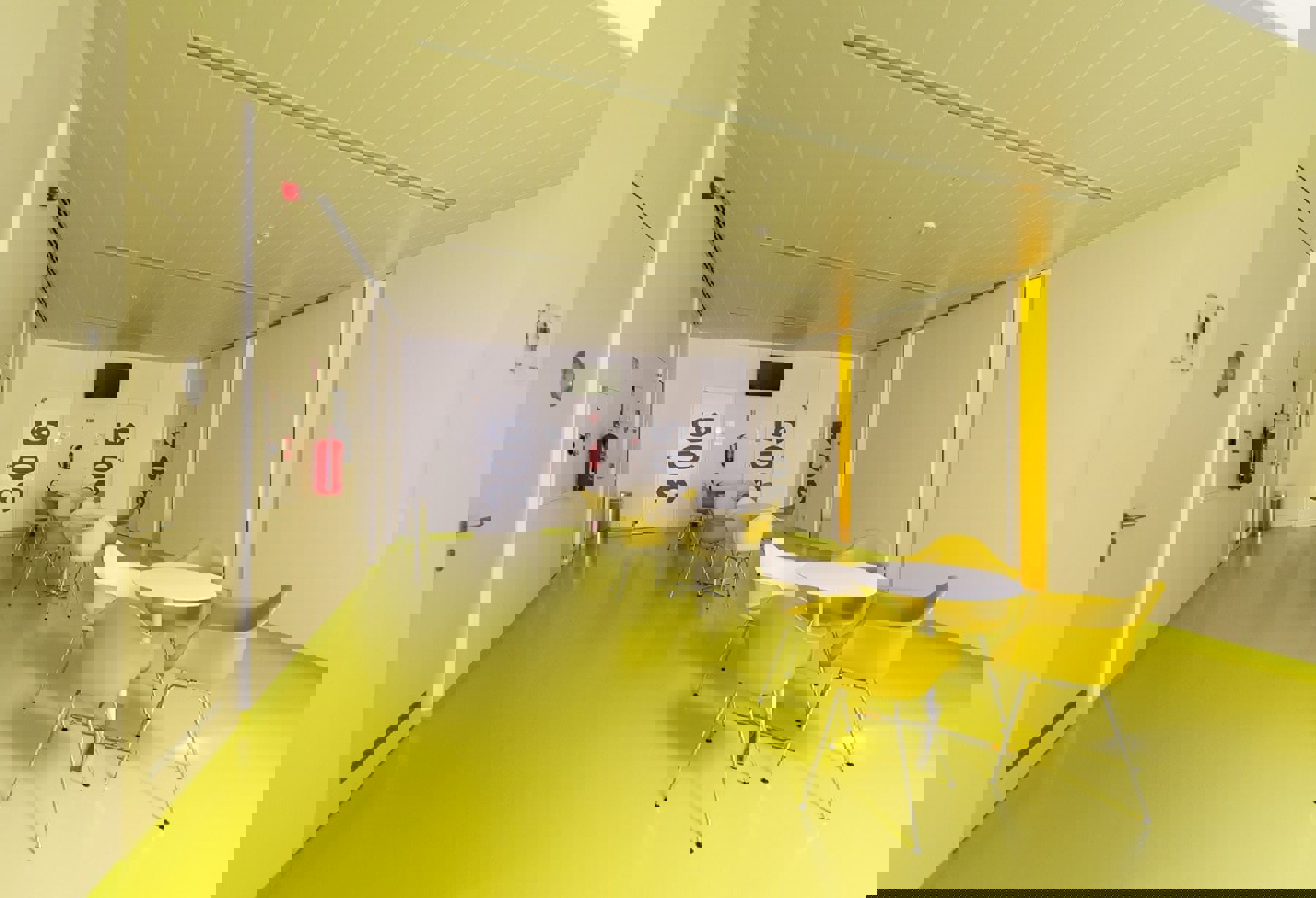 Image /media/ofrflkyy/dsc_0562.jpg