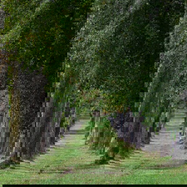 Image /media/oifnzitj/kraliky_hora_matky_bozi_1.jpg