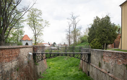 Image /media/omfnfxla/_dsc4784.jpg