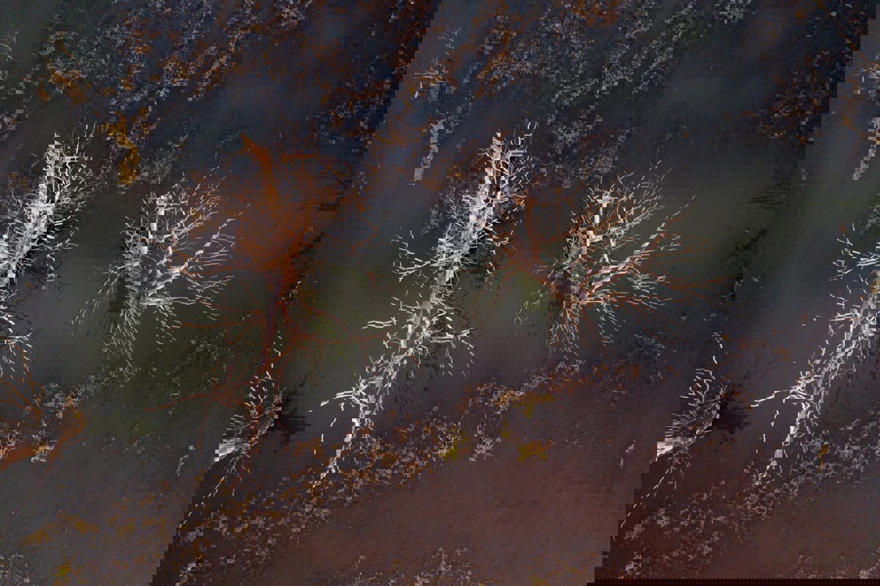 Obrázek /media/ozxaapeh/foto_martin_matera_-_moravskoslezske_investice_a_development_1.jpg