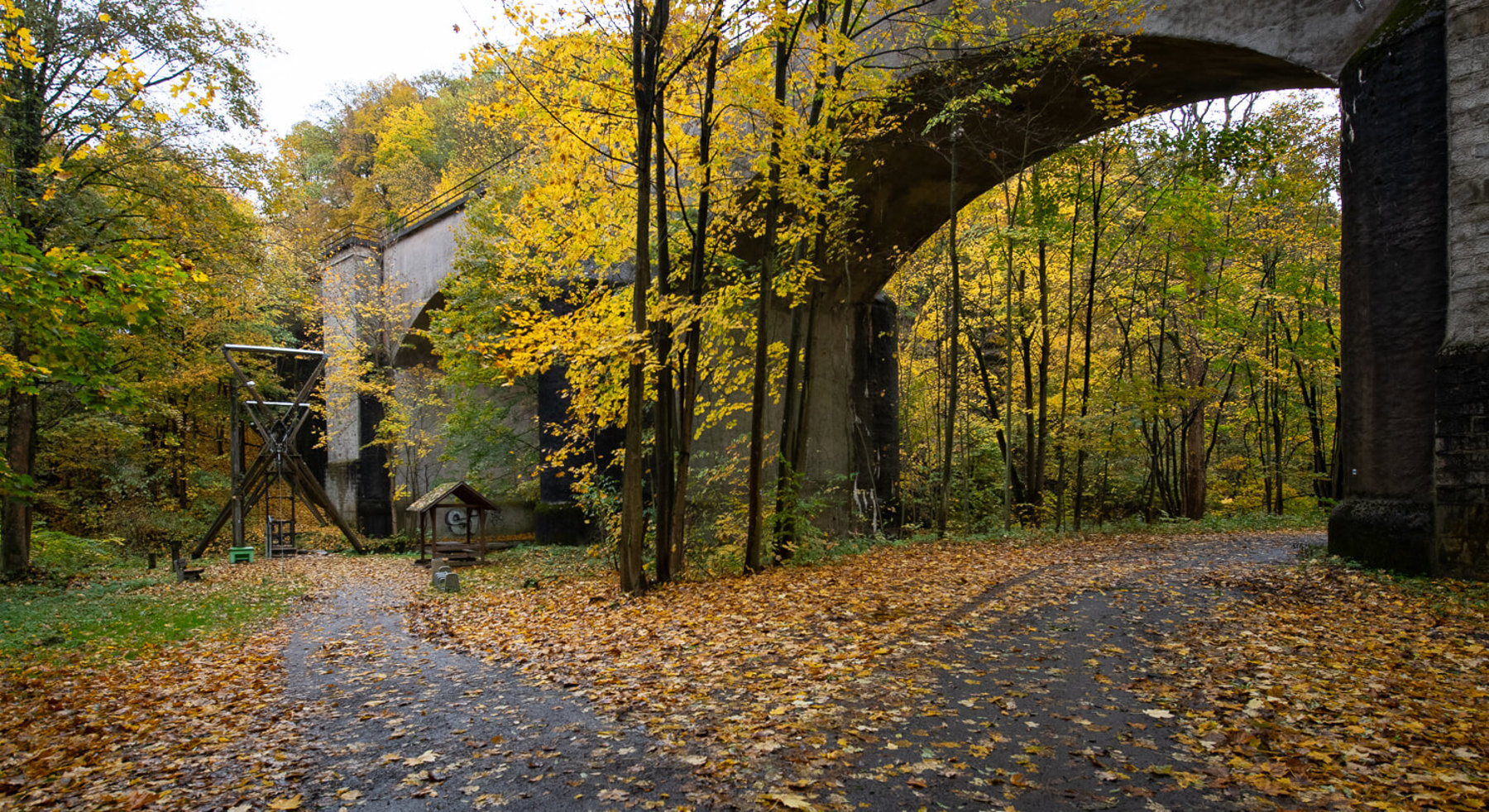 Image /media/p33hbiou/_dsc2110.jpg