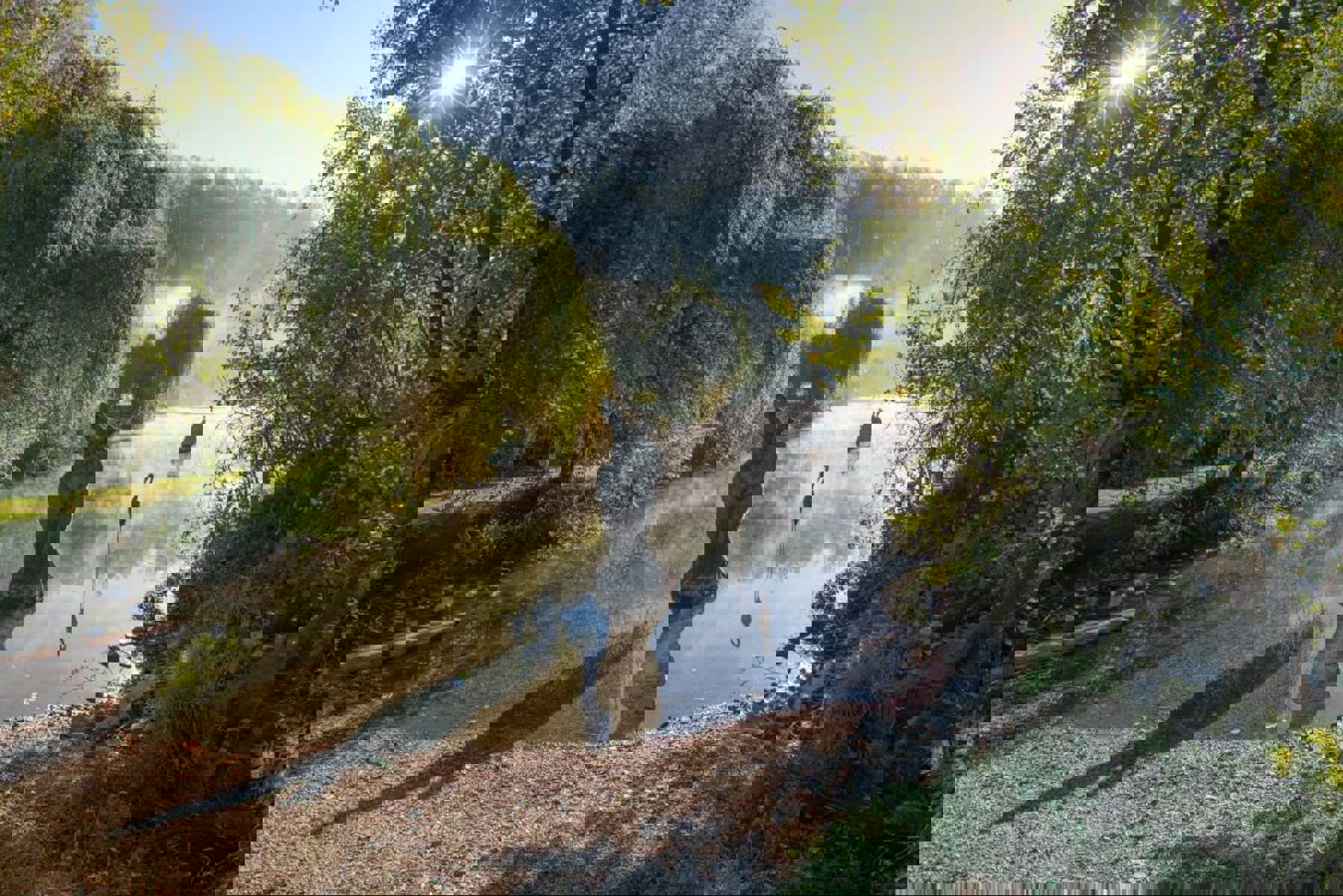 Obrázek /media/pahj3hg0/dsc7790.jpg