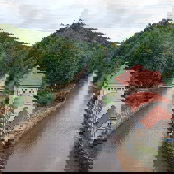 Image /media/paqcyr52/les_kralovstvi_4.jpg