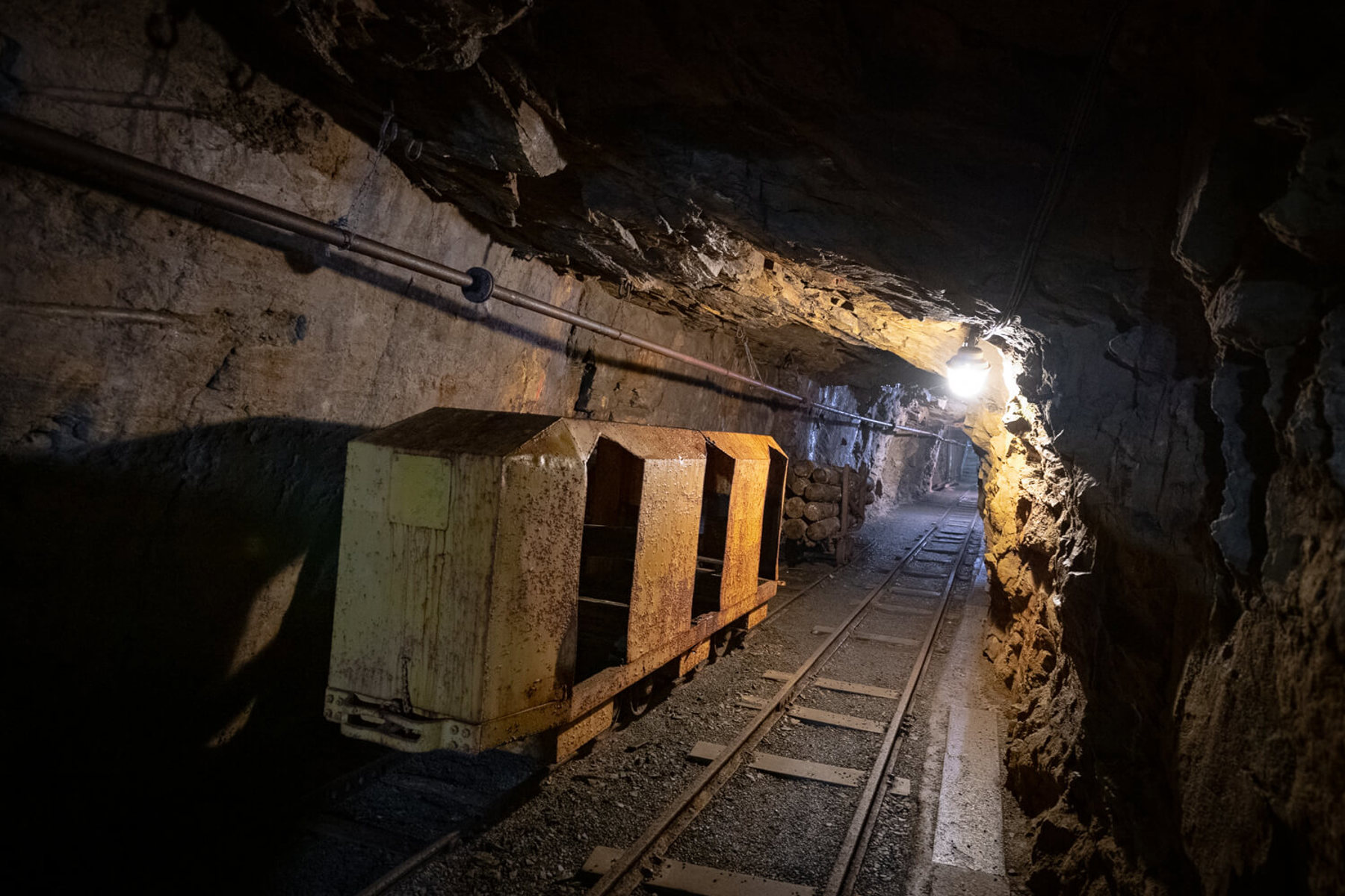 Image /media/paxbvqoi/dsc8620.jpg