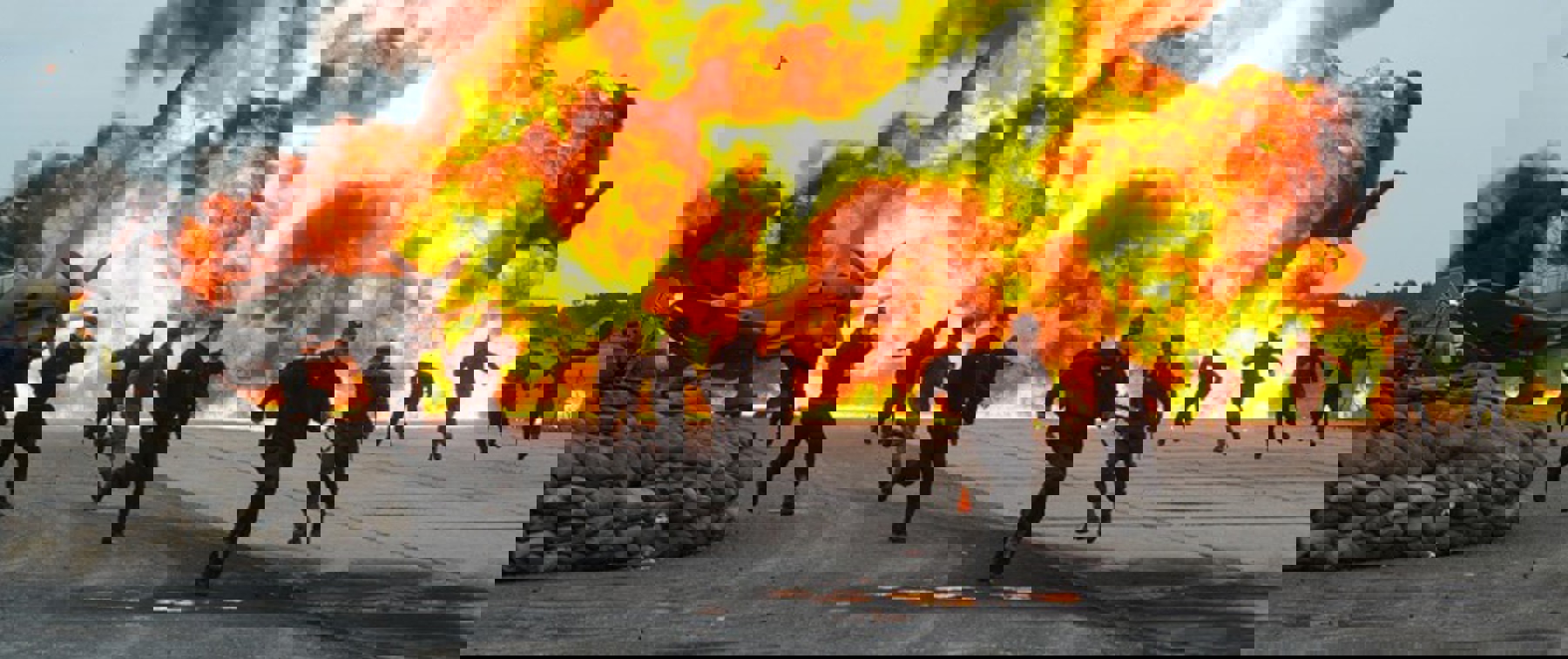 Image /media/pdpkqn3b/redt50172.jpg