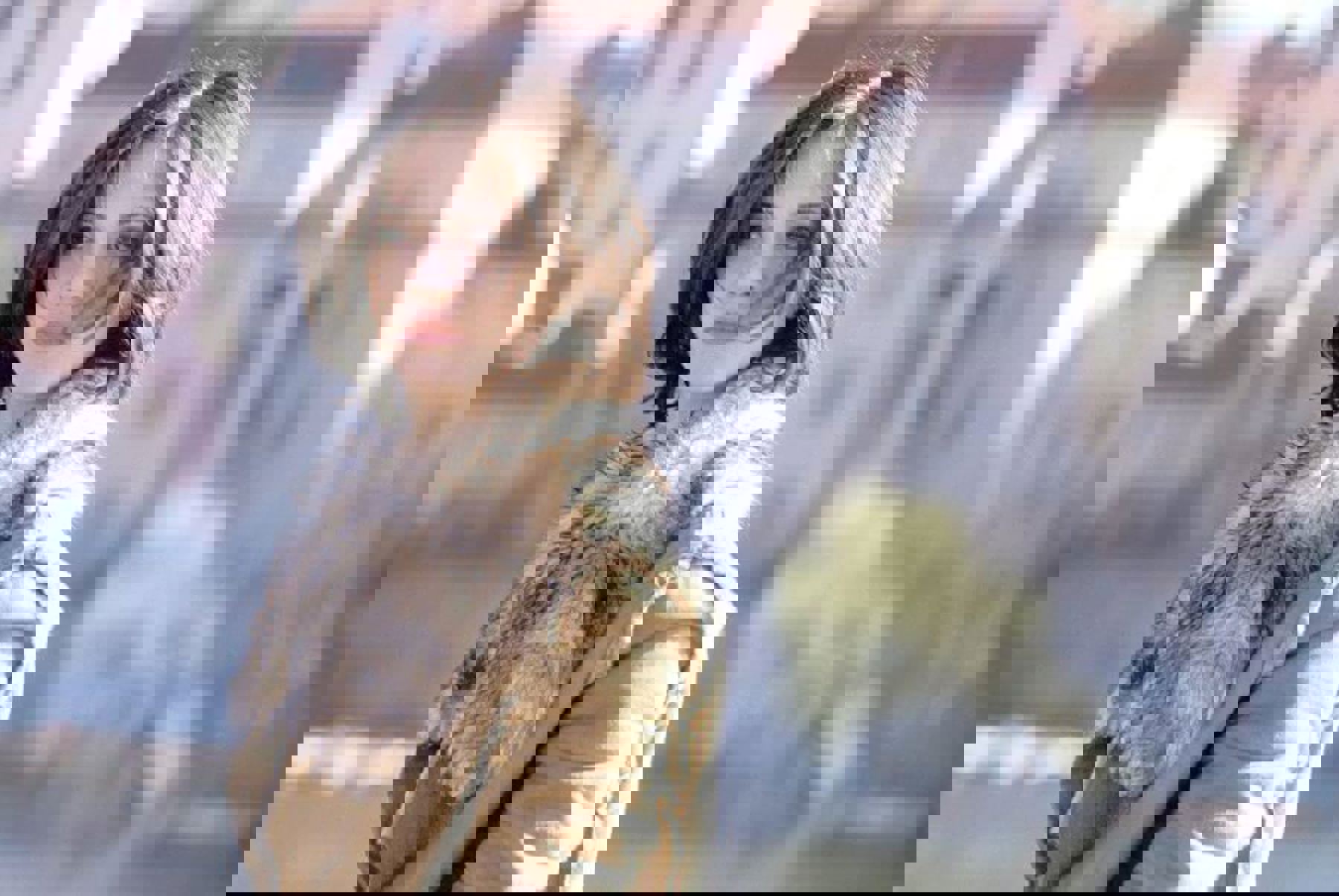 Obrázek /media/pedamzqp/13297_900x602.jpg