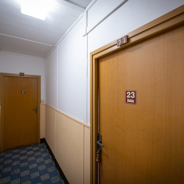 Image /media/pignrcid/dsc3340.jpg