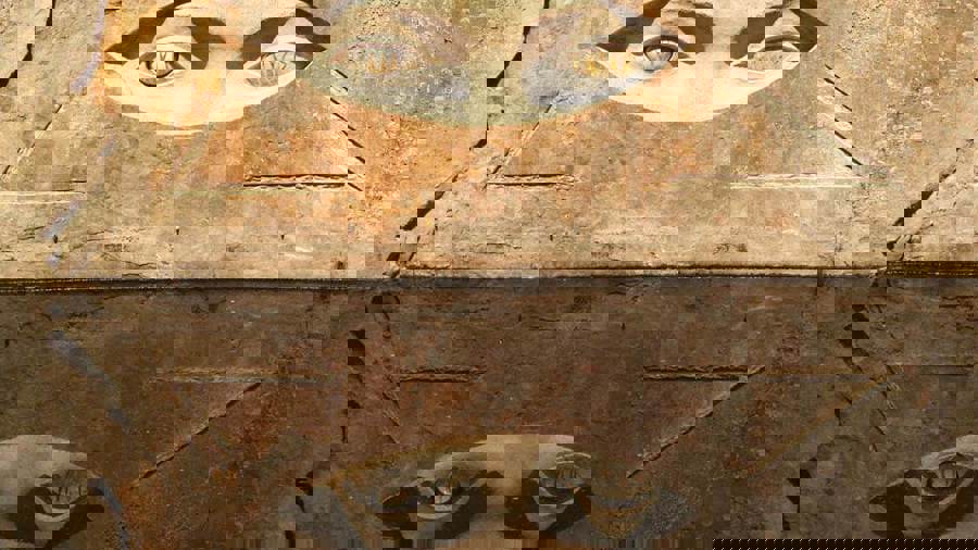 Ilustrační obrázek článku 'Lipnice querries'