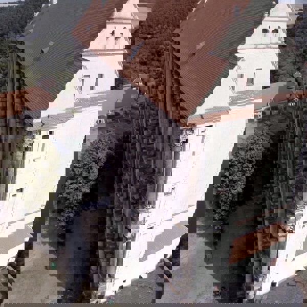 Image /media/pktnfdq0/image1.jpg