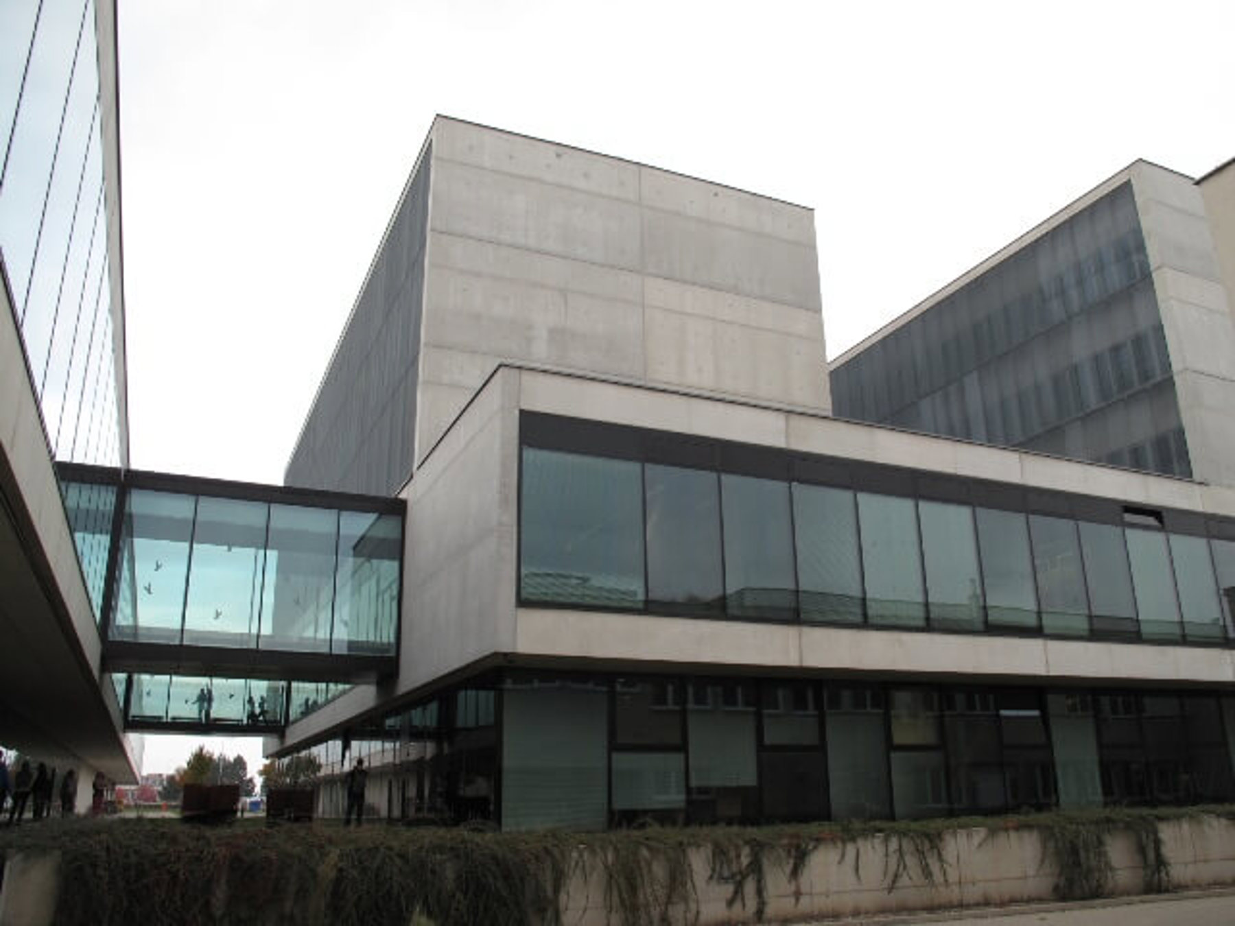 Obrázek /media/plubhwj0/img_03361.jpg