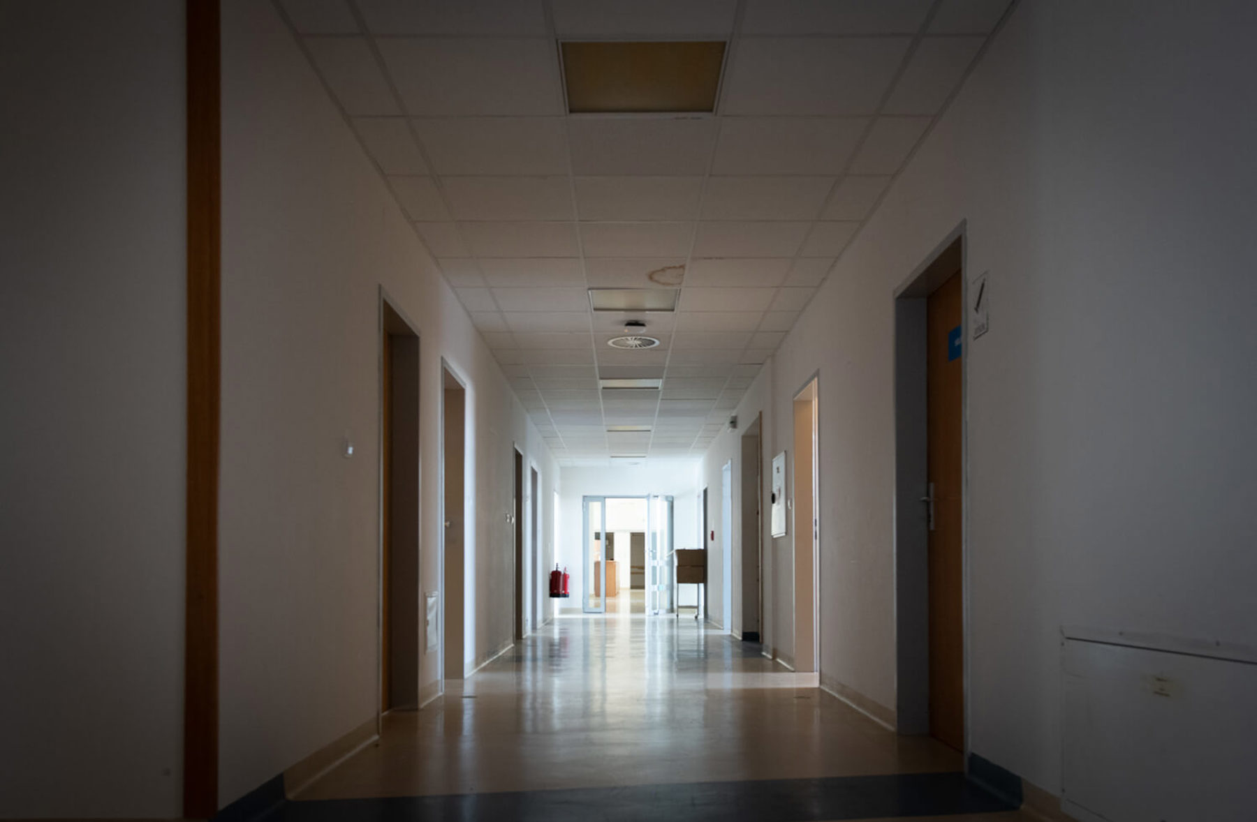 Obrázek /media/pmvmvyw0/_dsc8913.jpg