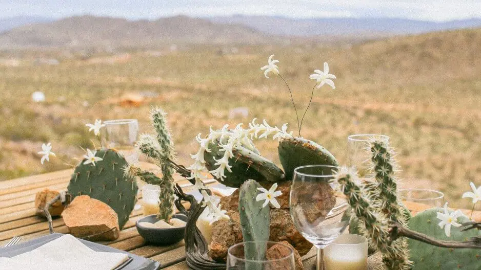 Image /media/pmxc3v2t/orig-ivygarden_desert_view.jpeg