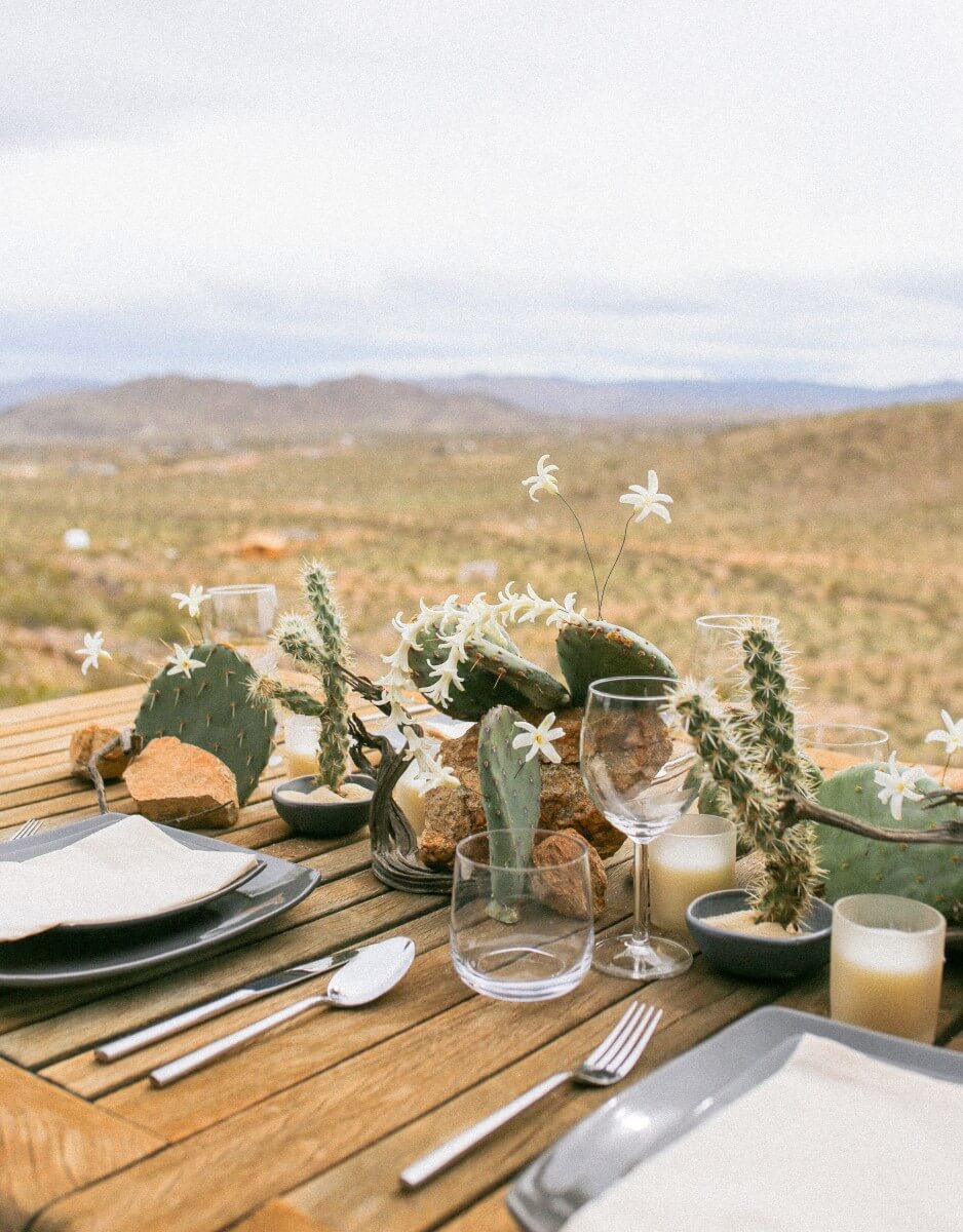 Image /media/pmxc3v2t/orig-ivygarden_desert_view.jpeg