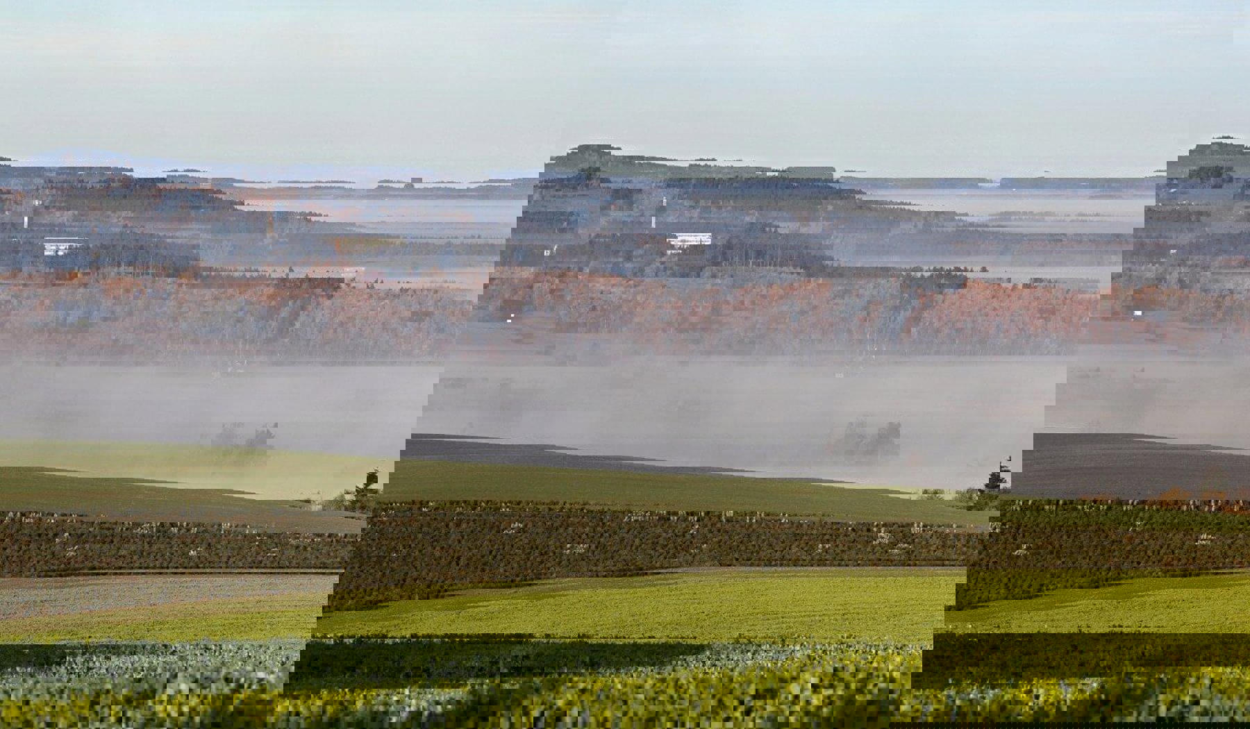 Image /media/pmzcgtwx/kopie_c_-_vysocina_-_archiv_vysocina_tourism_3.jpg