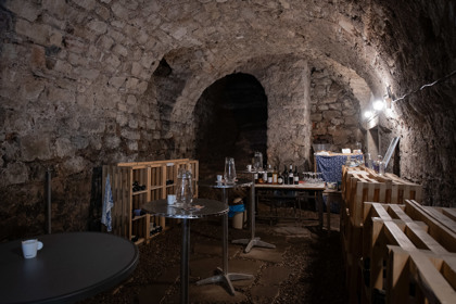 Obrázek /media/ponbxr30/_dsc2778.jpg