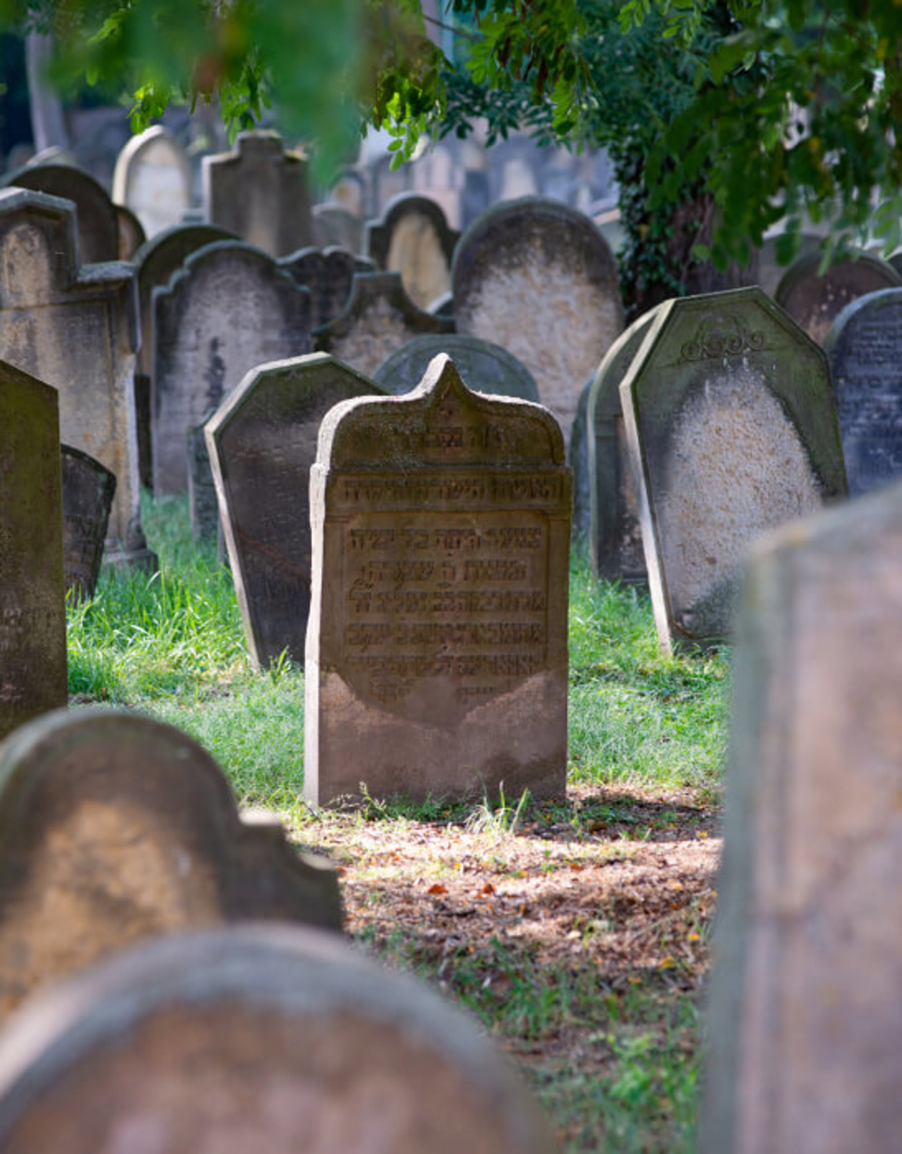 Obrázek /media/ppgdbxh3/n_bydzov_zidovsky_hrbitov_11.jpg