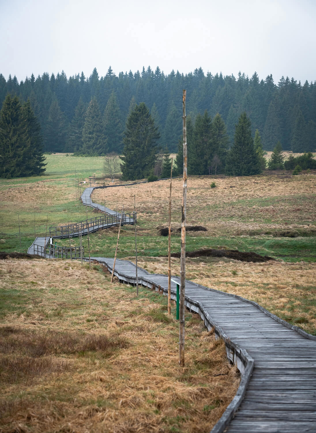 Ilustrační obrázek článku 'Krusne Mountains'