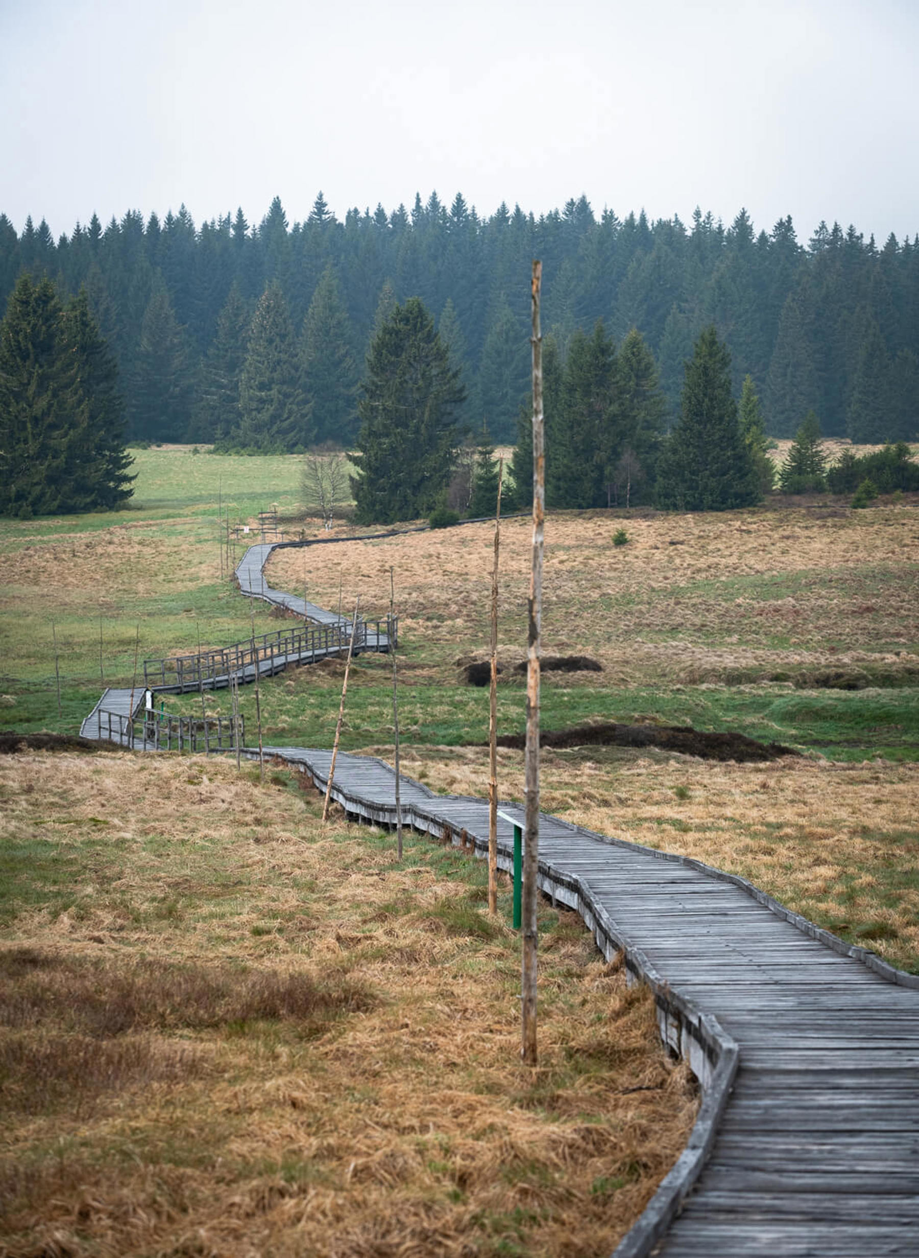 Image /media/pqice1e1/dsc8268.jpg