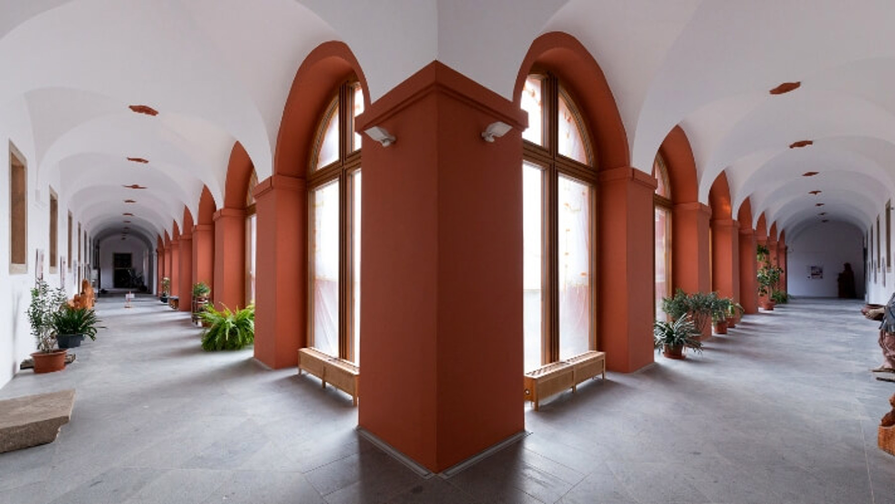 Image /media/pugfzefp/klaster_zeliv_14.jpg