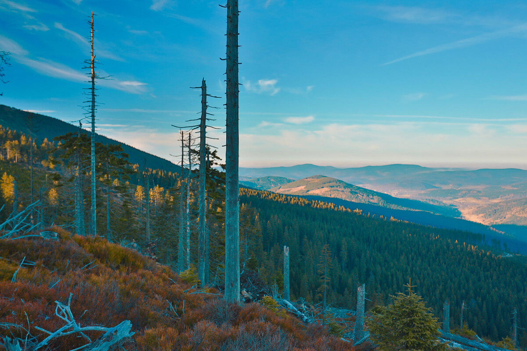 Obrázek /media/pyxdk4c5/c86a48311.jpg