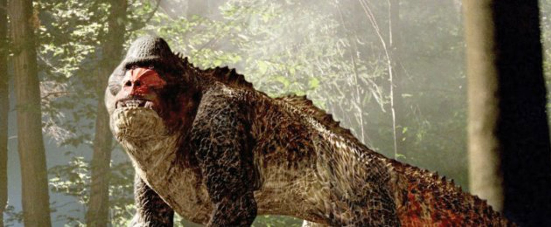 Obrázek /media/q3dnmehn/l_318081_42a92074.jpg