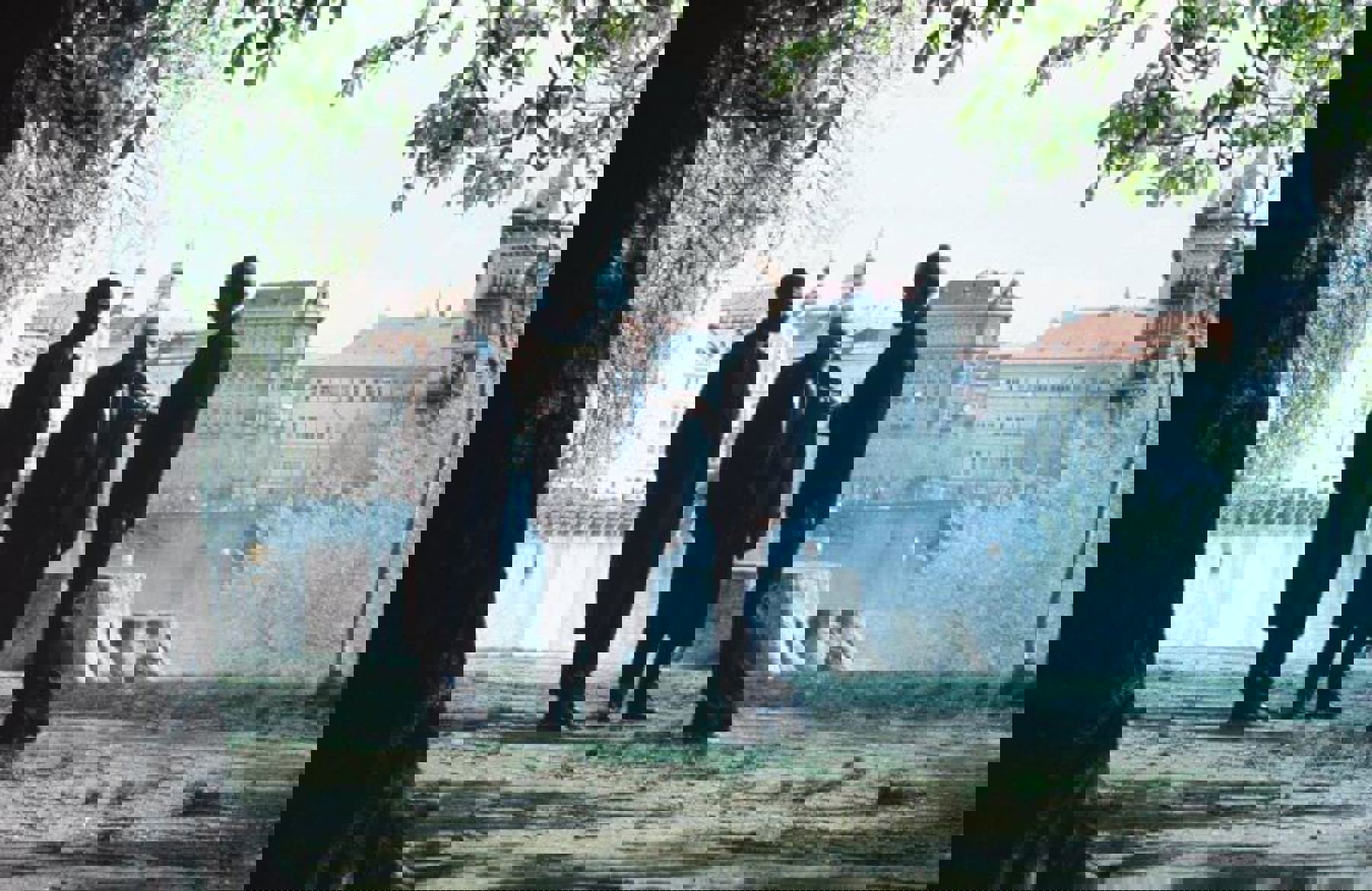 Image /media/qa1dv2fz/bad_1.jpg