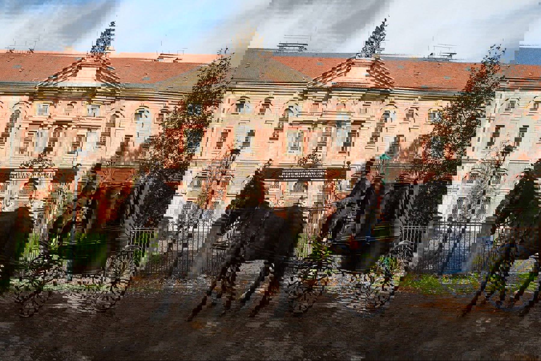 Obrázek /media/qawnliim/2_hebamme_4.jpg