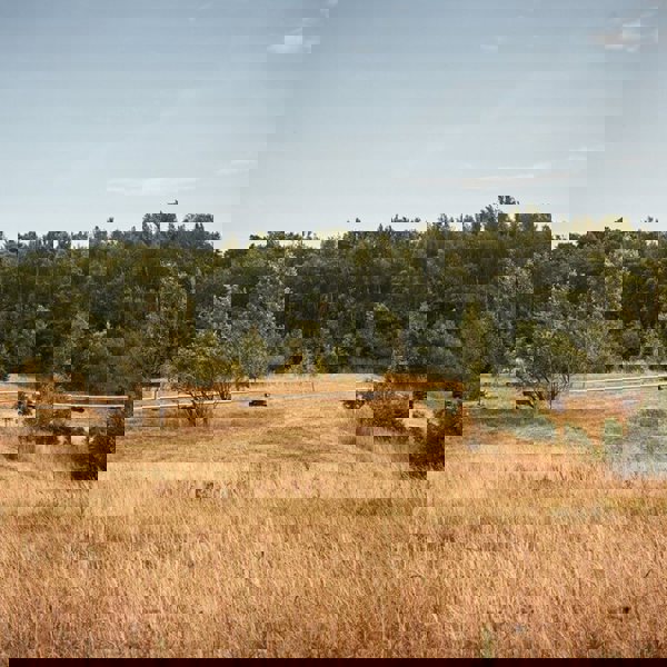 Image /media/qbtjusha/karel_kita_-_moravskoslezske_investice_a_development_40.jpg