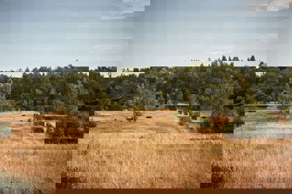 Image /media/qbtjusha/karel_kita_-_moravskoslezske_investice_a_development_40.jpg