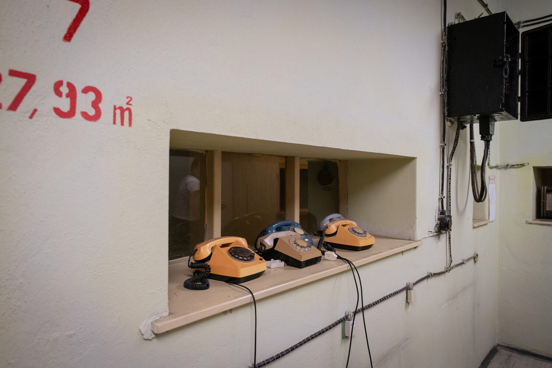 Image /media/qgaogtct/_dsc7824.jpg