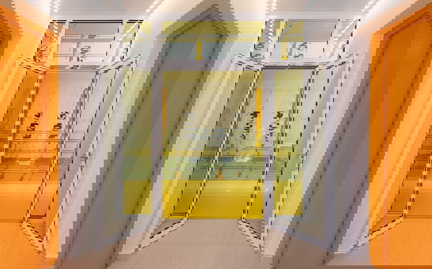 Image /media/qgllthfm/dsc_0554-1.jpg