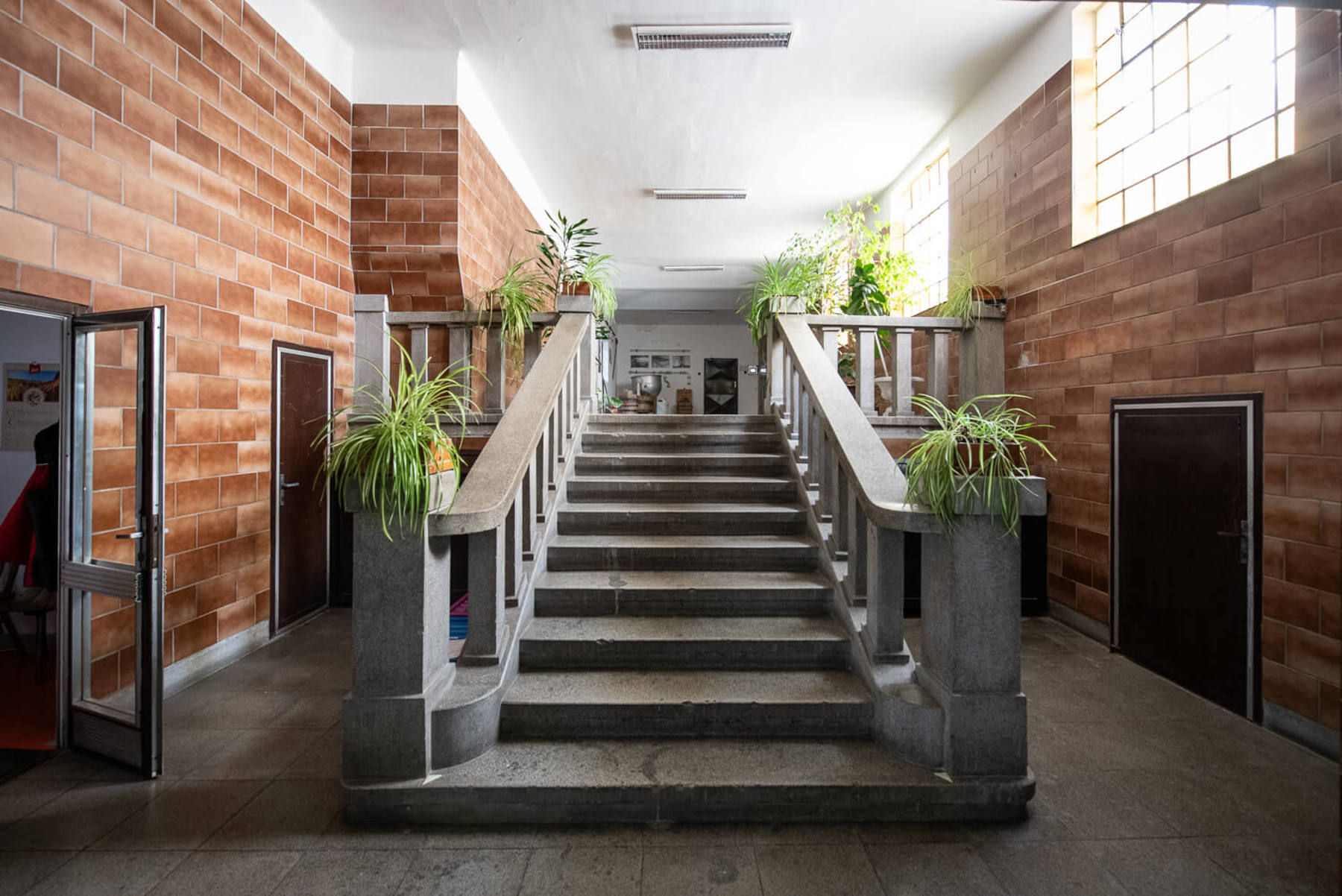 Image /media/qihjaii5/_dsc7396.jpg