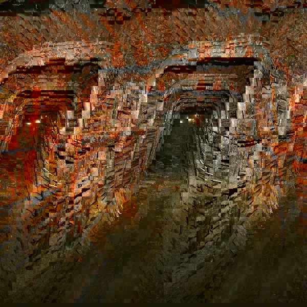 Obrázek /media/qinhe5tj/jeronym_50.jpg